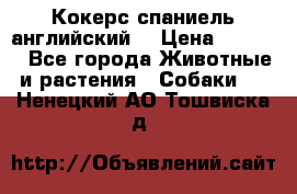 Кокерс спаниель английский  › Цена ­ 4 500 - Все города Животные и растения » Собаки   . Ненецкий АО,Тошвиска д.